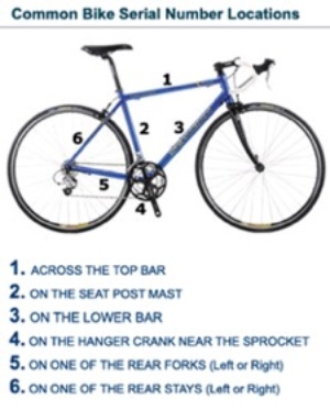 Informational poster for locating bicycle serial number