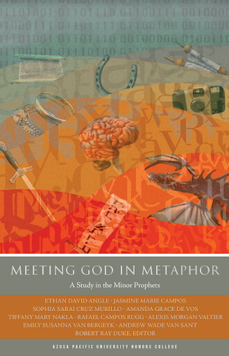 Meeting God in Metaphor book cover