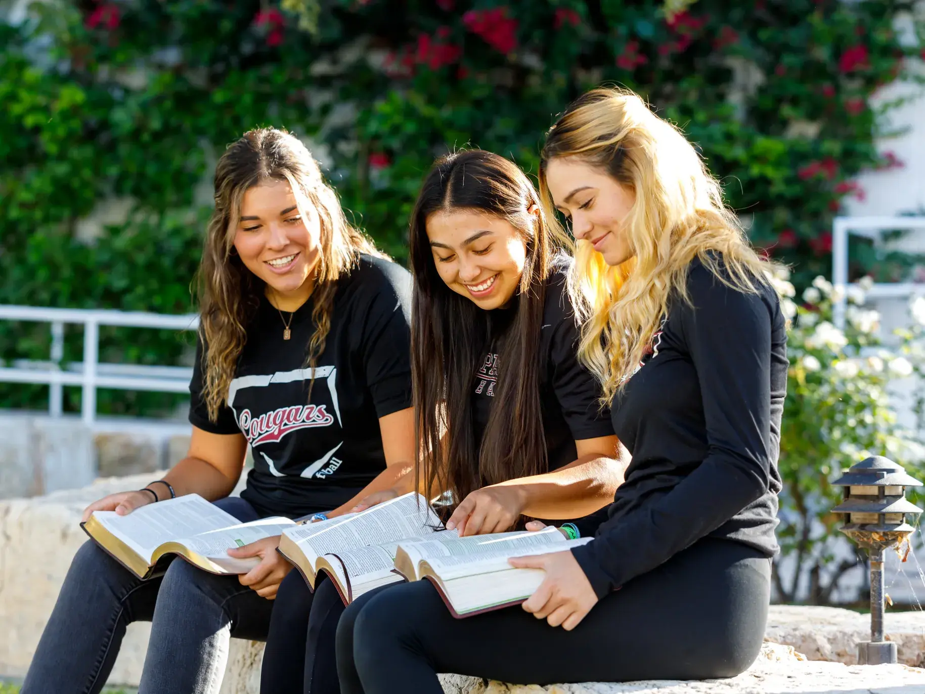 Three students study Bibles together outdoors on campus.