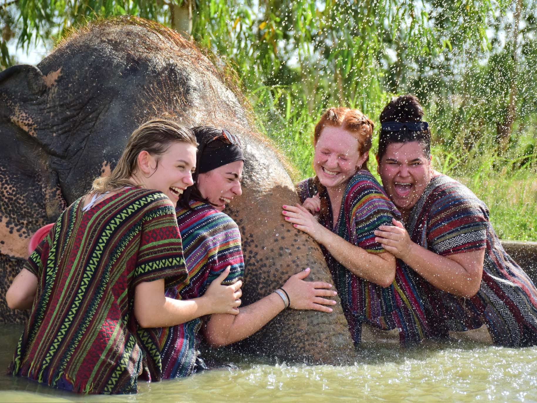 Ainsley Konow and her team laugh while hugging an elephant.
