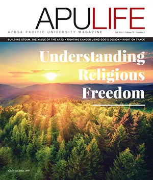 APULIFE front cover of a scenic sunrise over a forest