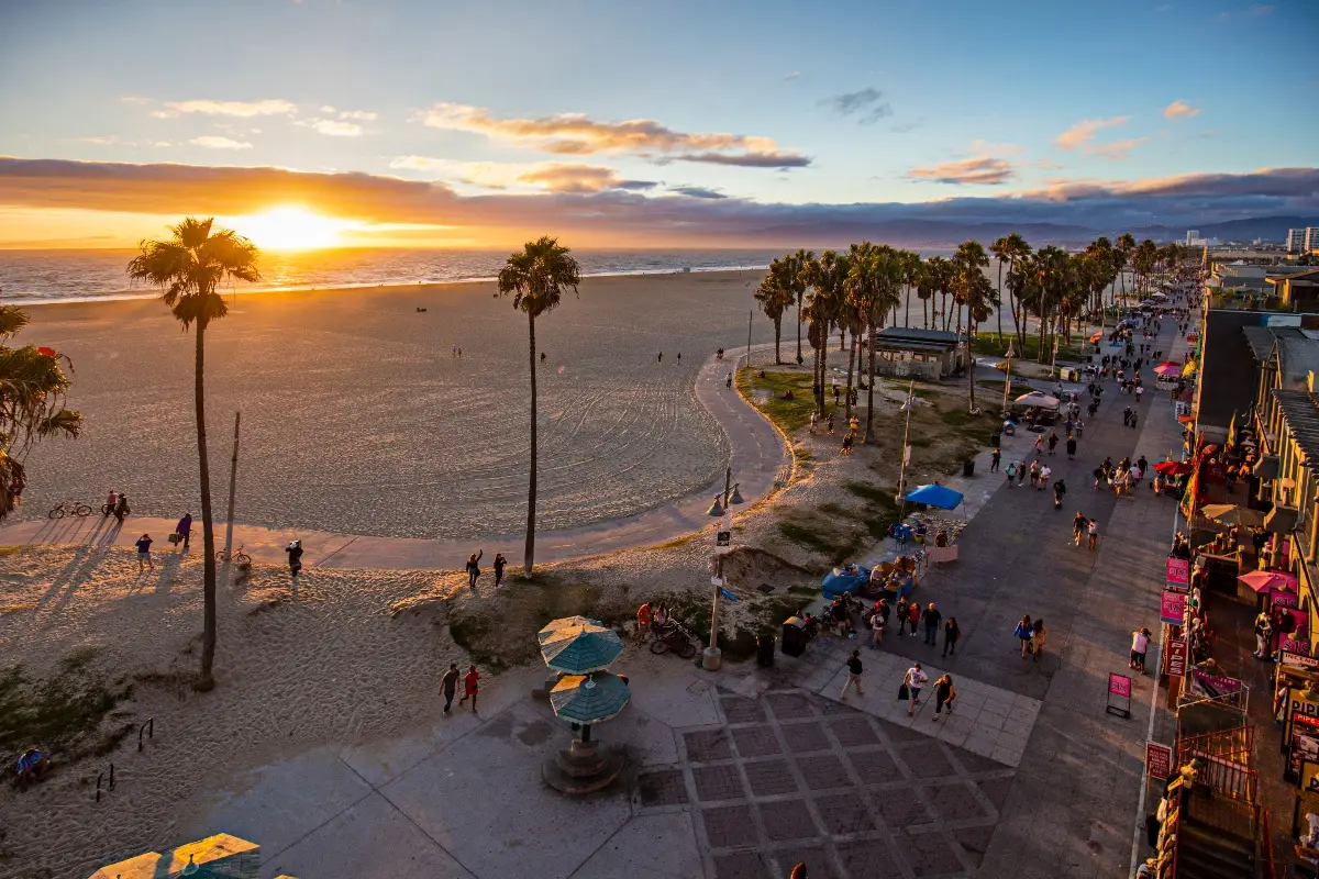the beach with palm trees and a sunset