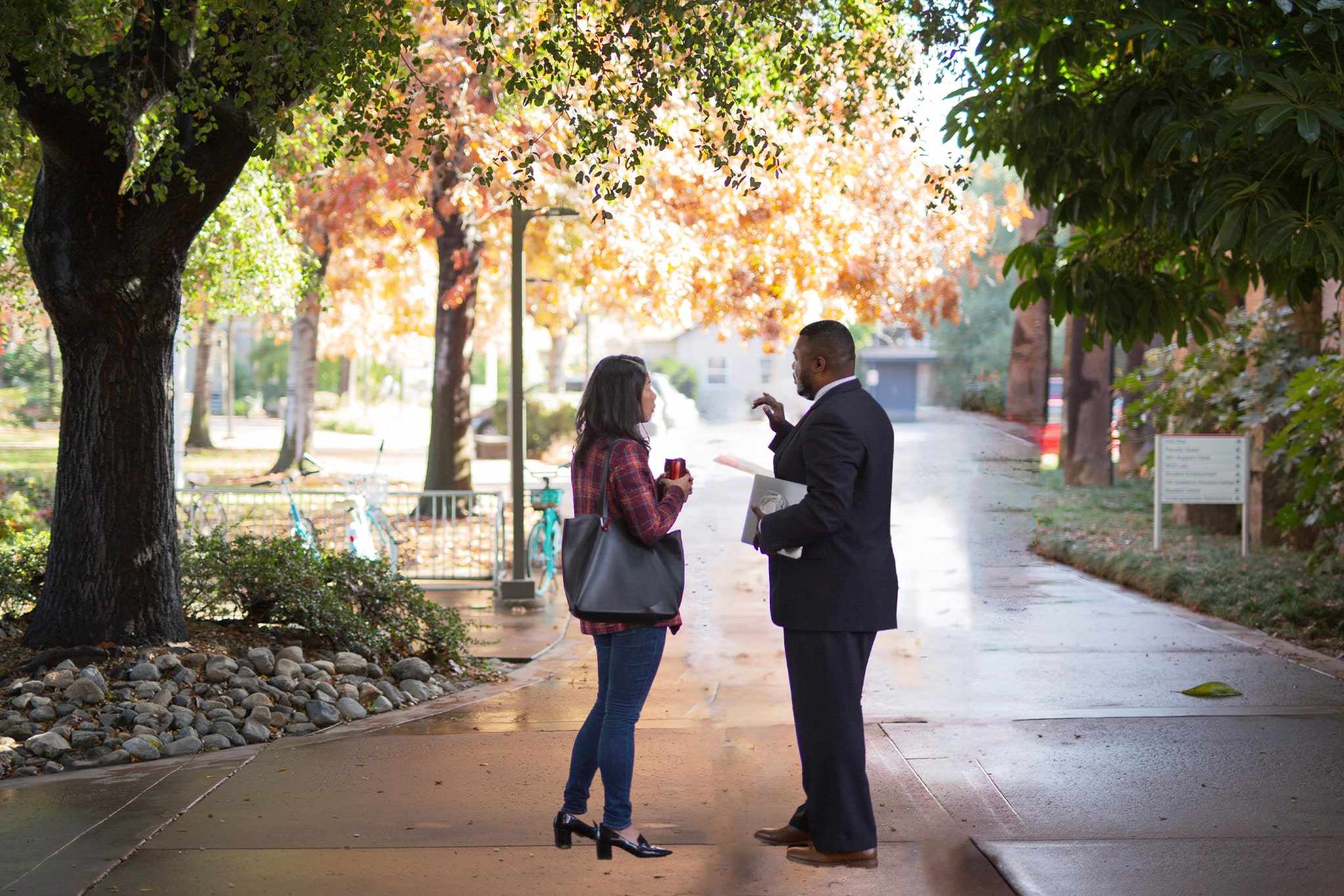 Faculty consulting student