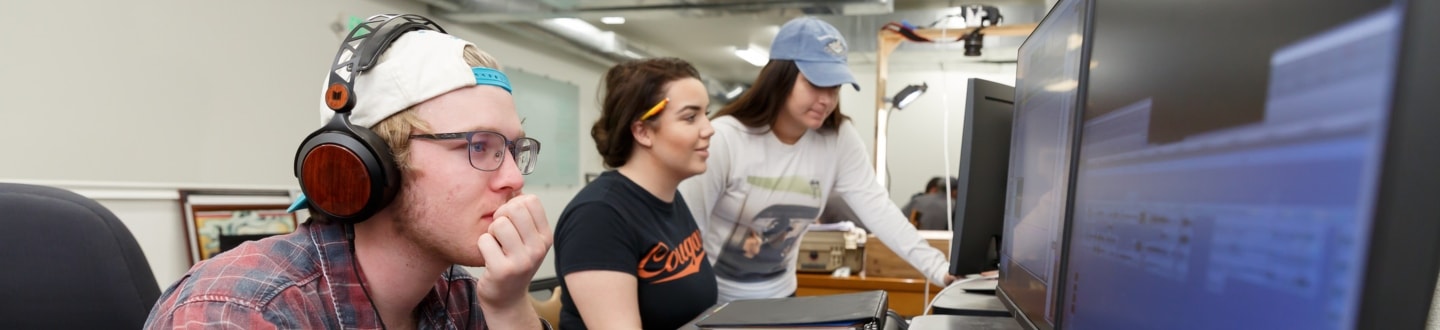 Students looking screens in computer lab