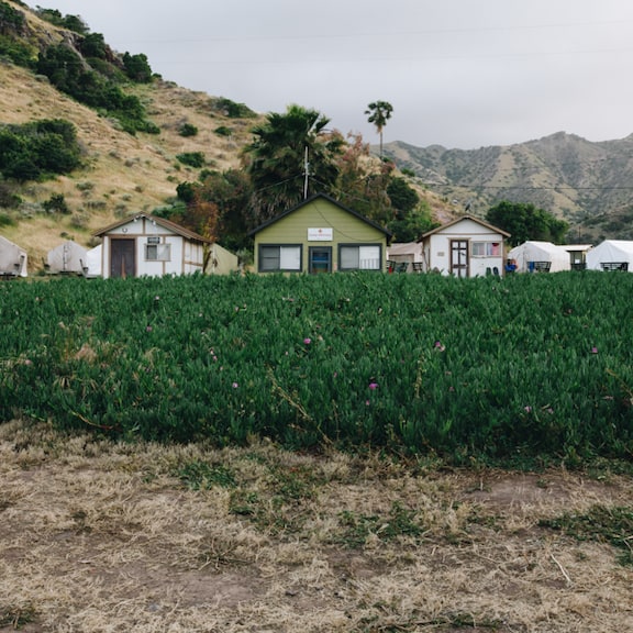 Houses at shoreline