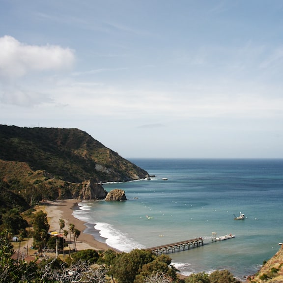 Shoreline landscape
