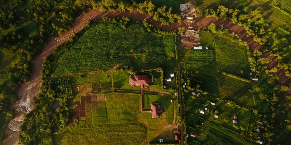 Top-down view of hospital