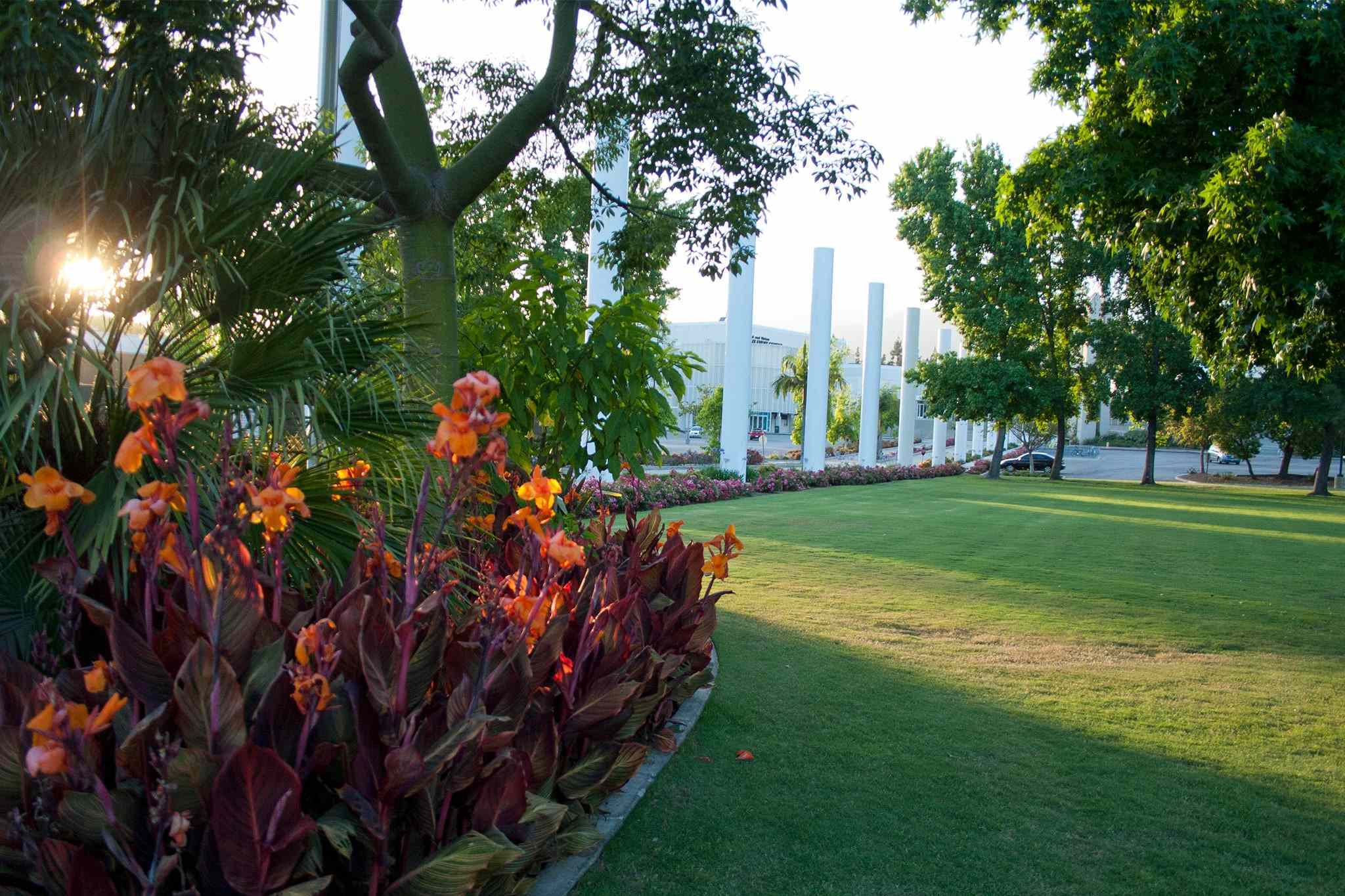 Flower bed on West Campus