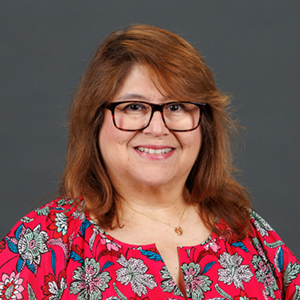 Photo of Evelyn Castro-Guillen, PhD, LCSW
