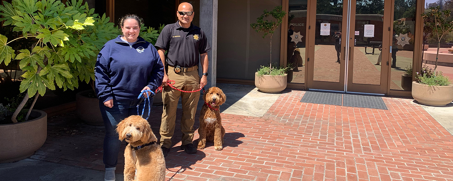 Changing Hearts and Minds with Police Therapy Dogs