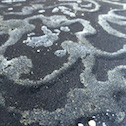 Tamara Valdry<br><em>A Marked Path II</em>, 2015<br>Photographic print<br>16”x22”